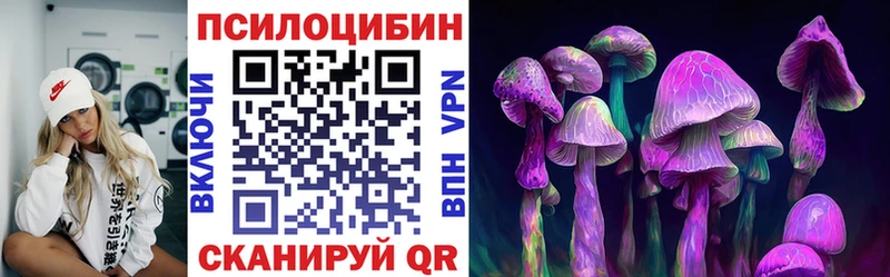 где купить наркоту  Райчихинск  Галлюциногенные грибы GOLDEN TEACHER 